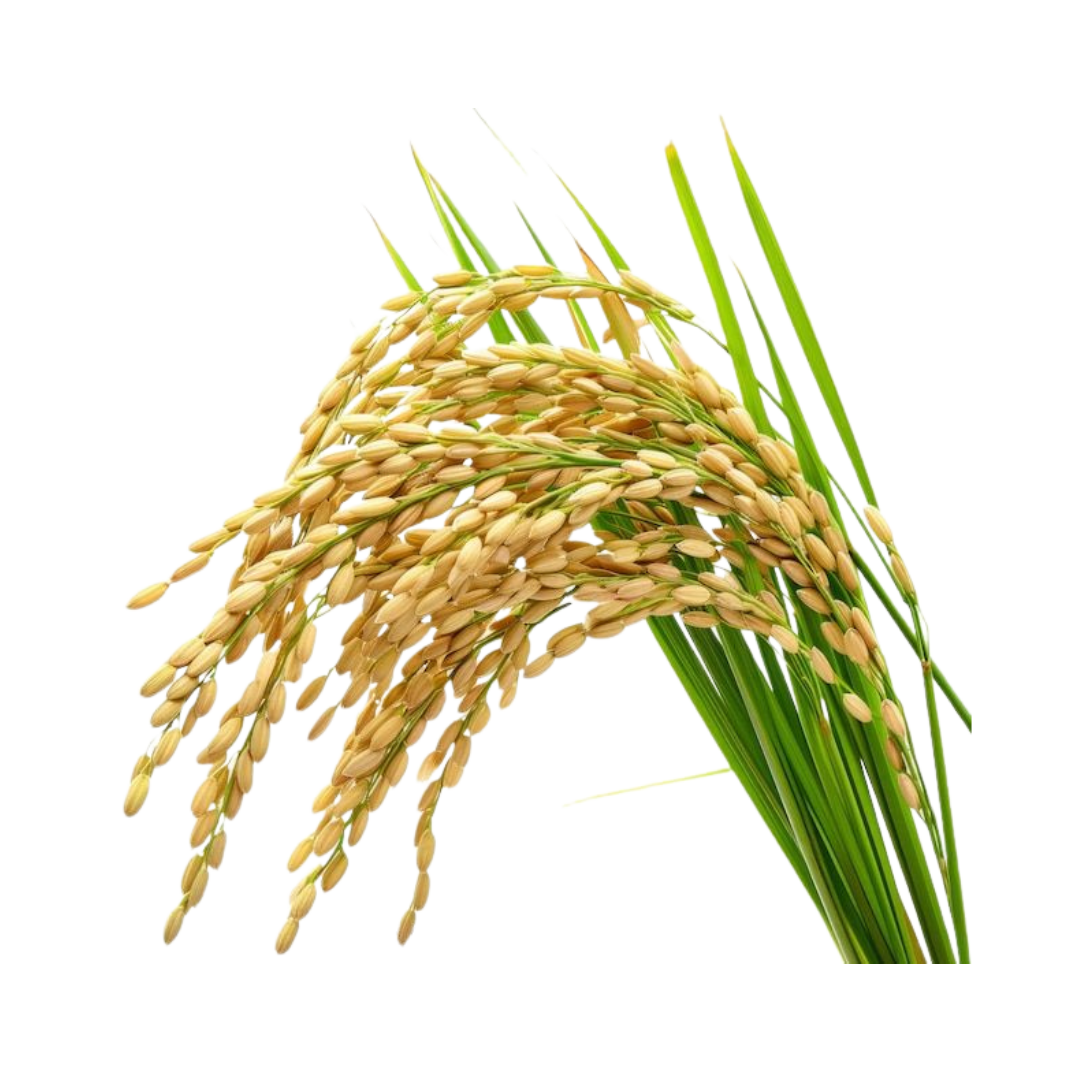 Thenchittu%20Brand%20Rice